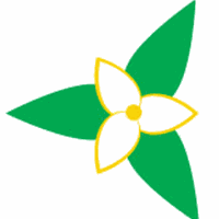 Trillium network symbol